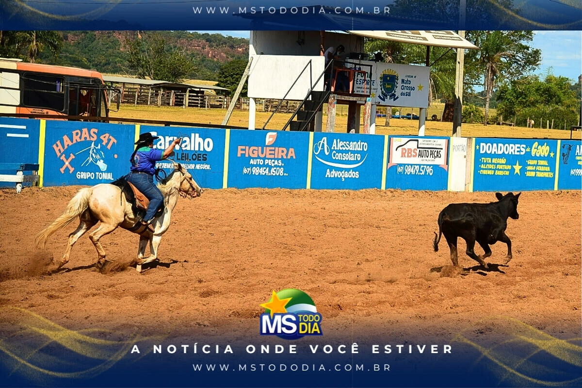 Imagem da Galeria